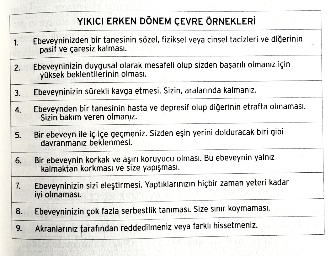Yıkıcı Erken Donem Cevre Ornekleri - sayfa 45