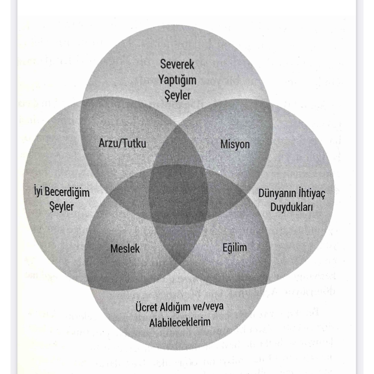Ikigai Şablon - sayfa 135