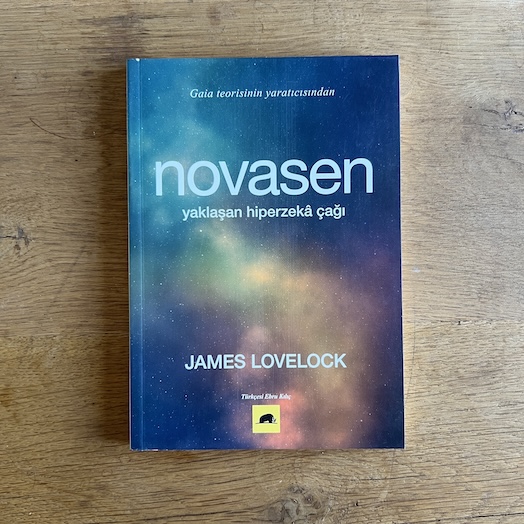 Novacene - The Coming Age of Hyperintelligence