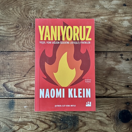 On Fire: The Case for the Green New Deal