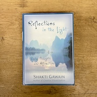 reflections in the light